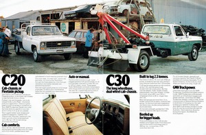 1979 Chevrolet V8 Trucks (Aus)-08-09.jpg